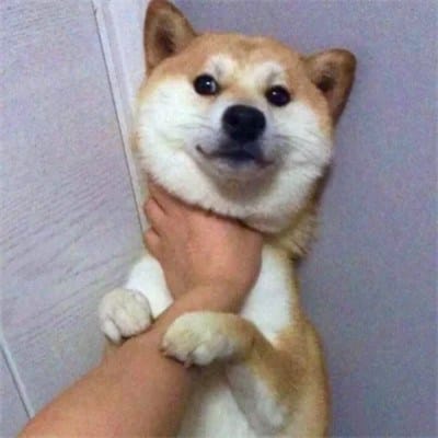 Trần Minh Quân avatar